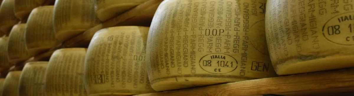 Italian hard cheese