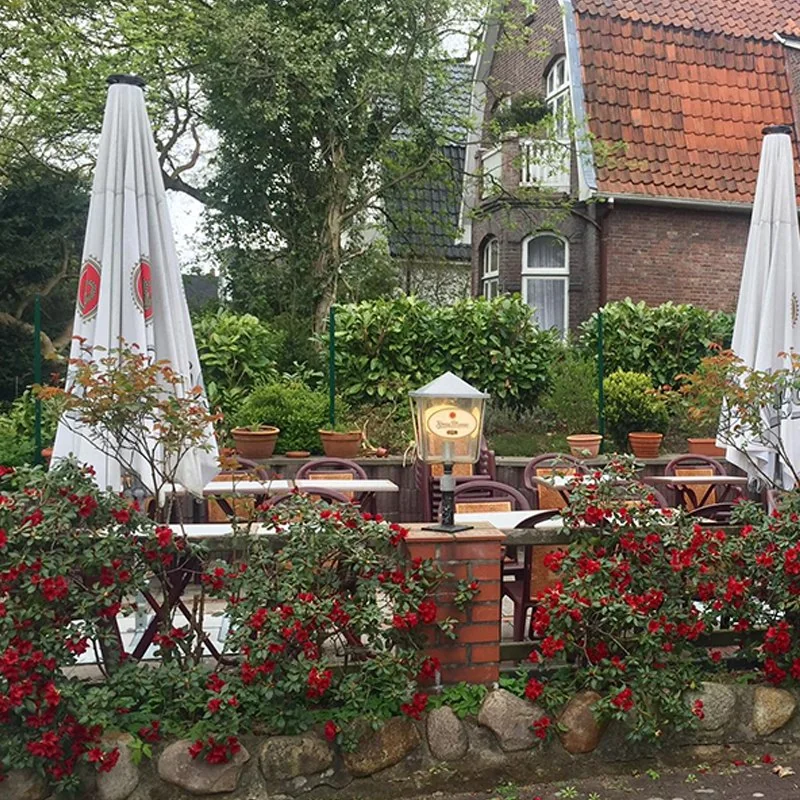 Our summer garden